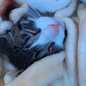 Meet your Posher, Mary